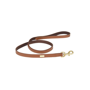 Trela para cão Weatherbeeta em couro Canela Castanho