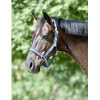 Cabezada Weatherbeeta Coordinate Azul escuro / castanho / cinzento