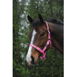 Cabeçada Saxon econômica Rosa