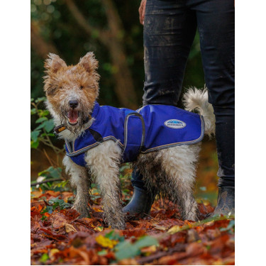 Cobertura para cão 220g Weatherbeeta ComFiTec Deluxe