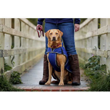 Cobertura para cão 220g Weatherbeeta ComFiTec Deluxe Cobertura para cão 220g Weatherbeeta ComFiTec Deluxe