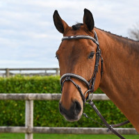 Bridão Clincher Jump'In One Premium Havana Castanho