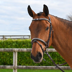 Bridão Clincher Jump'In One Premium Havana Castanho Bridão Clincher Jump'In One Premium Havana Castanho