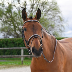 Bridão Clincher Jump'In One Premium Havana Castanho Bridão Clincher Jump'In One Premium Havana Castanho