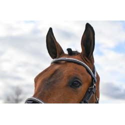 Bridão Clincher Jump'In One Premium Havana Castanho Bridão Clincher Jump'In One Premium Havana Castanho