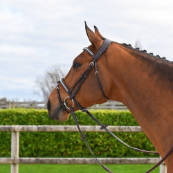 Bridão Clincher Jump'In One Premium Havana Castanho Bridão Clincher Jump'In One Premium Havana Castanho