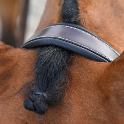 Bridão Clincher Jump'In One Premium Havana Castanho Bridão Clincher Jump'In One Premium Havana Castanho