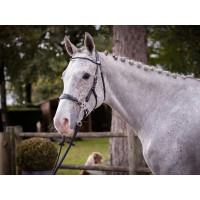 Bridon Hackamore Jump'In week Preto