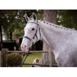 Bridon Hackamore Jump'In week Preto Bridon Hackamore Jump'In week Preto