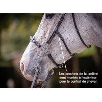 Bridon Hackamore Jump'In week Preto