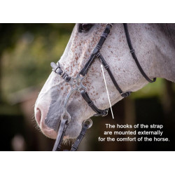 Bridon Hackamore Jump'In week Preto Bridon Hackamore Jump'In week Preto