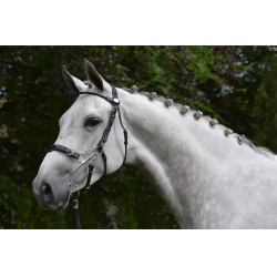 Bridon Hackamore Jump'In week Preto Bridon Hackamore Jump'In week Preto