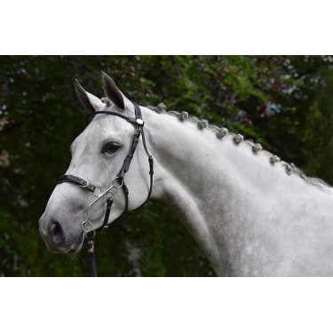 Bridon Hackamore Jump'In week Preto Bridon Hackamore Jump'In week Preto