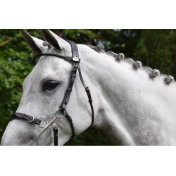 Bridon Hackamore Jump'In week Preto Bridon Hackamore Jump'In week Preto