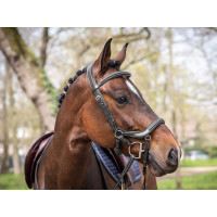 Bridon Jump'In Summer focinheira anatômica week Preto