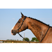 Bridon Liberty Jump'In One Preto