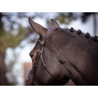 Bridon Wednesday muserolle combinée Jump'In week Havana Castanho