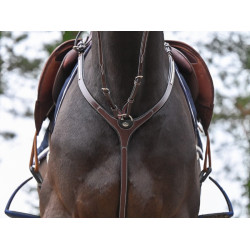 Peitoral Clincher com martingal Jump'In One Premium