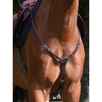 Collier de chasse Tuesday Jump'In week Havane