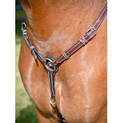Collier de chasse Tuesday Jump'In week Havane Collier de chasse Tuesday Jump'In week Havane