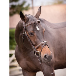 Filete Jump'In Crystal focinheira combinada Week Havana Castanho