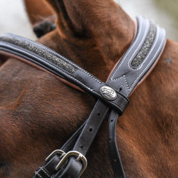 Filete Jump'In Crystal focinheira combinada Week Havana Castanho