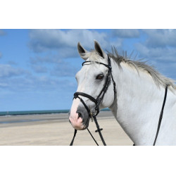 Filete Jump'In Monday muserola combinada week Preto Filete Jump'In Monday muserola combinada week Preto