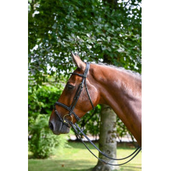 Filete Jump'In Monday muserola combinada week Preto Filete Jump'In Monday muserola combinada week Preto