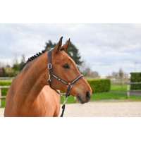 Cabresto Clincher Jump'In One Premium Havana Castanho Cabresto Clincher Jump'In One Premium Havana Castanho