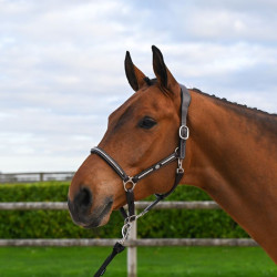 Cabresto Clincher Jump'In One Premium Havana Castanho