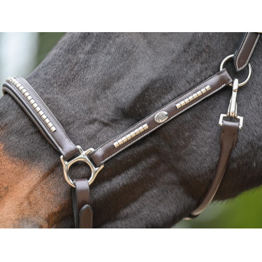 Cabresto Clincher Jump'In One Premium Cabresto Clincher Jump'In One Premium