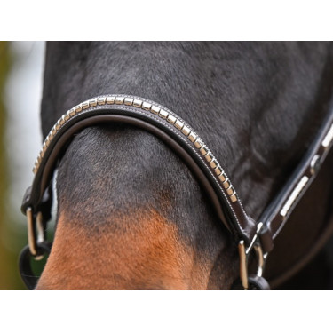 Cabresto Clincher Jump'In One Premium Cabresto Clincher Jump'In One Premium