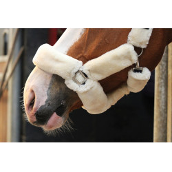 Caveção Jump'In Soft One Bege