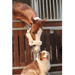 Caveção Jump'In Soft One Bege