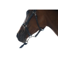 Cabezada Wednesday Jump'In Week Havana Castanho