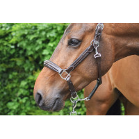 Cabezada Wednesday Jump'In Week Havana Castanho