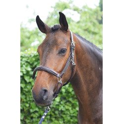 Cabezada Wednesday Jump'In Week Havana Castanho Cabezada Wednesday Jump'In Week Havana Castanho