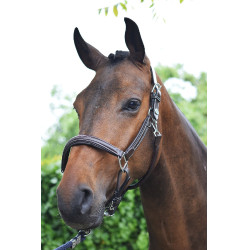 Cabezada Wednesday Jump'In Week Havana Castanho Cabezada Wednesday Jump'In Week Havana Castanho