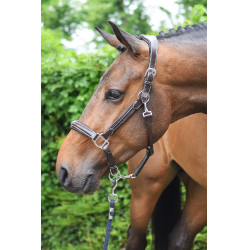 Cabezada Wednesday Jump'In Week Havana Castanho Cabezada Wednesday Jump'In Week Havana Castanho