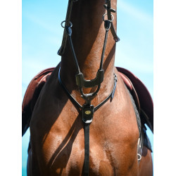 Martingale elástica Jump'In com anéis Week