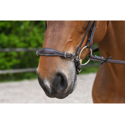 Muserola alemã com corrente Jump'In Week Havana Castanho Muserola alemã com corrente Jump'In Week Havana Castanho