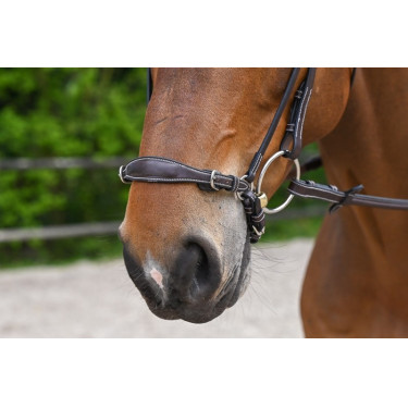 Muserola alemã com corrente Jump'In Week Havana Castanho Muserola alemã com corrente Jump'In Week Havana Castanho