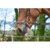 Muserola alemã Jump'In Week Preto