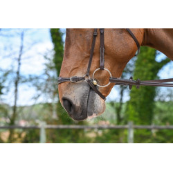 Muserola alemã Jump'In Week Havana Castanho