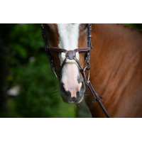 Muserola Tuesday Jump'In Mogno Bord&amp;ocirc;