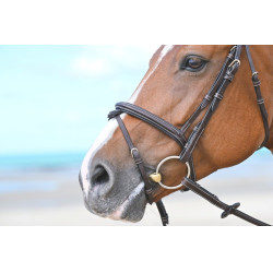 Muserola Tuesday Jump'In Mogno Bord&amp;ocirc;