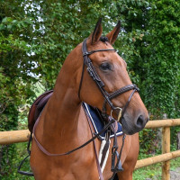 Protetores de olhos removíveis Week Jump'In Havana Castanho