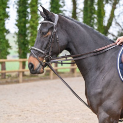 Rédeas alemãs Jump'In couro liso Mogno Bord&amp;ocirc;