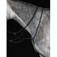 Martingale de placa IV Collegiate Preto