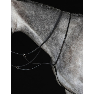 Martingale de placa IV Collegiate Preto